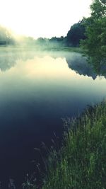 Scenic view of lake in forest against sky