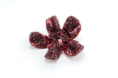 High angle view of fruits against white background