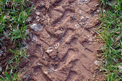 High angle view of a field