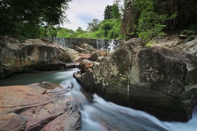 Scenic view of waterfall in forest