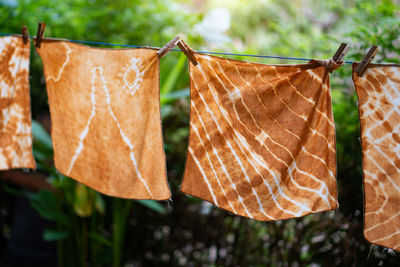 Close-up of clothes hanging on clothesline