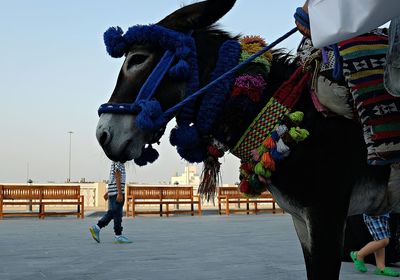 Silhouette of woman against sky