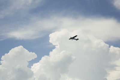 Low angle view of airplane flying in sky