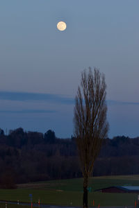 Scenic view of field against sky at night
