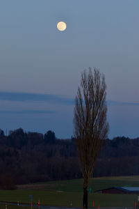 Scenic view of field against sky at night