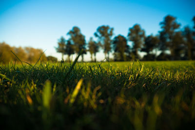 Surface level of countryside landscape against clear sky