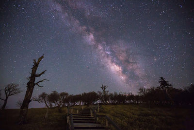 Trees on field against sky at night