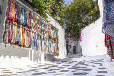 Low angle view of clothes hanging on tree against building