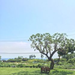 Trees on landscape against clear blue sky