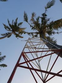 Low angle view of palm tree against blue sky