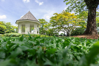 The bandstand in botanic gardens, singapore, surrounded by terraced flower beds and palms