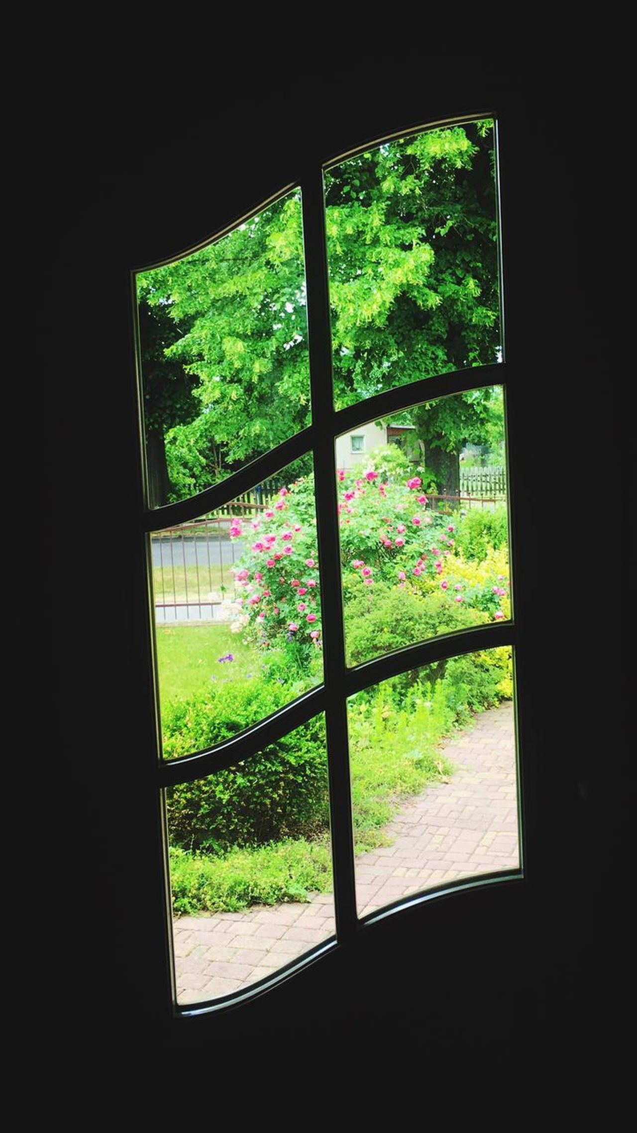 Window(s),