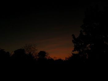 Silhouette trees against sky at sunset