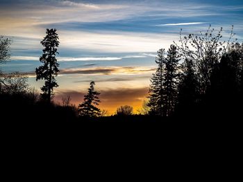 Silhouette trees on landscape against sky during sunset