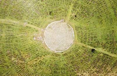 High angle view of bubbles on land