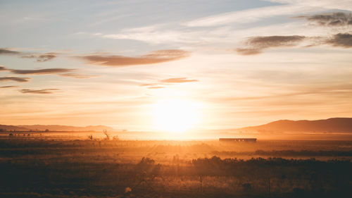 Scenic view of field against sky during sunset