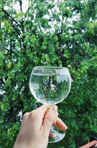 Midsection of person holding glass against trees