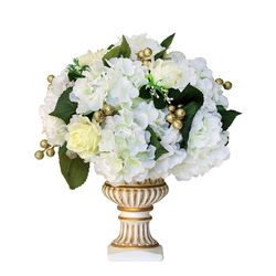 Close-up of white flowers in vase