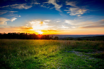 Scenic view of field against sky during sunset