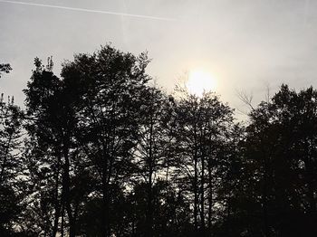 Low angle view of silhouette trees against sky at sunset