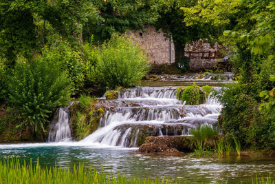 Scenic view of waterfall in forest