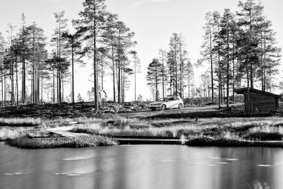 Scenic view of lake with trees in background