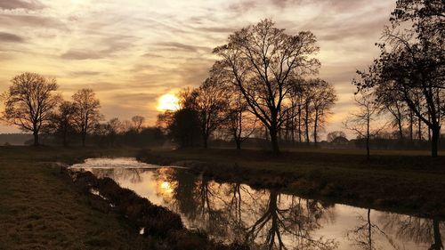 Reflection of trees in lake during sunset