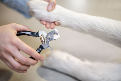 Close-up of person holding hands