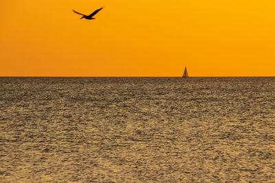 Silhouette birds flying over sea against orange sky