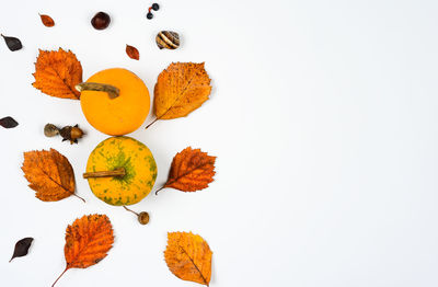 High angle view of orange leaves on white background