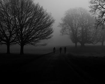 Silhouette people walking on bare trees against sky