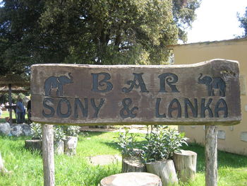 Information sign on tree