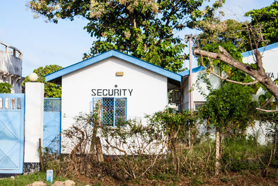 Plants by building against sky
