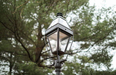 Low angle view of street light against trees