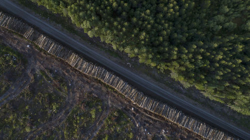 Aerial view of road amidst forest