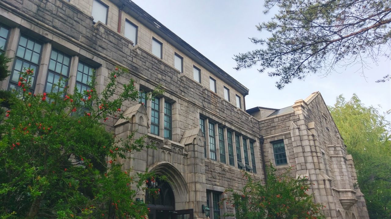 building exterior, architecture, built structure, tree, low angle view, outdoors, day, no people, window, plant, branch, sky, city, nature