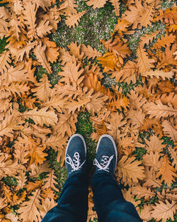 Low section of person standing on autumn leaves