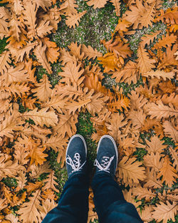 Low section of man standing on autumn leaves