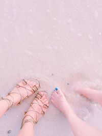 Low section of female friends on shore at beach