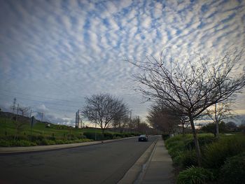 Road by trees against sky