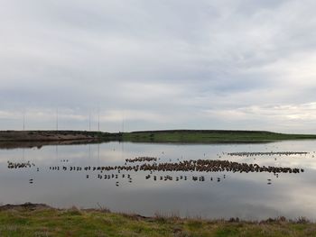 Scenic view of lake against sky