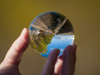 Close-up of hand holding glass against colored background