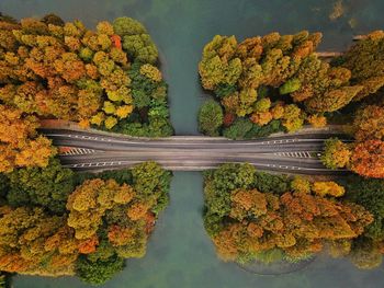 Aerial view of bridge over river in forest during autumn