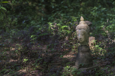 Statue of buddha against trees