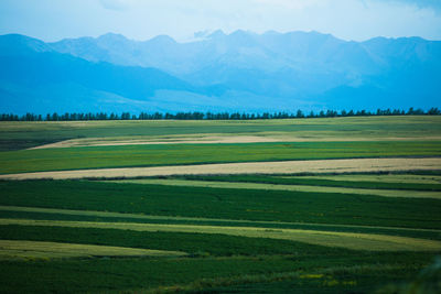 landscape