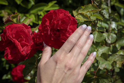 hand