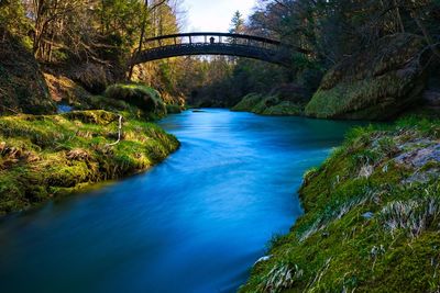 Arch bridge over river amidst trees