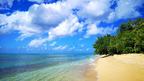 Scenic view of sea against sky