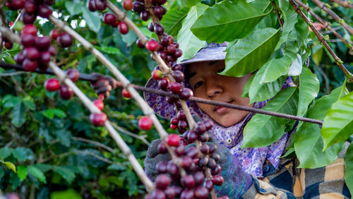 Portrait of woman wearing hat working in coffee farm