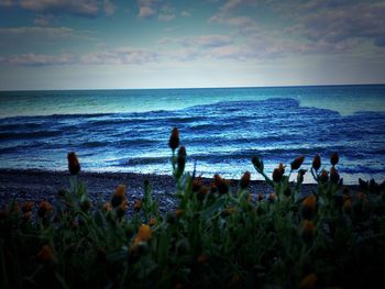horizon over water